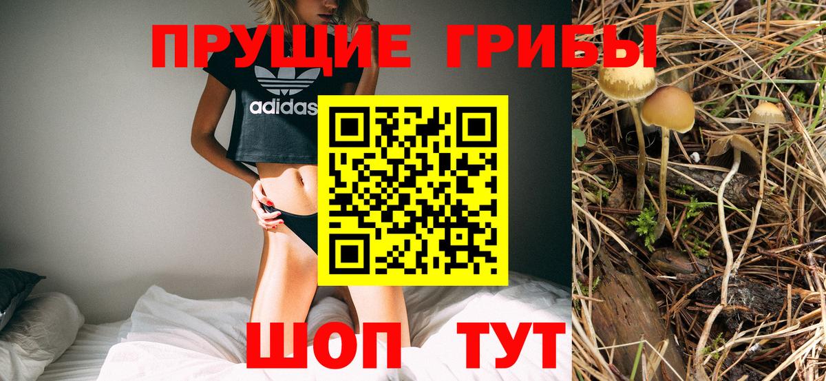 Галлюциногенные грибы мухоморы Нижний Новгород